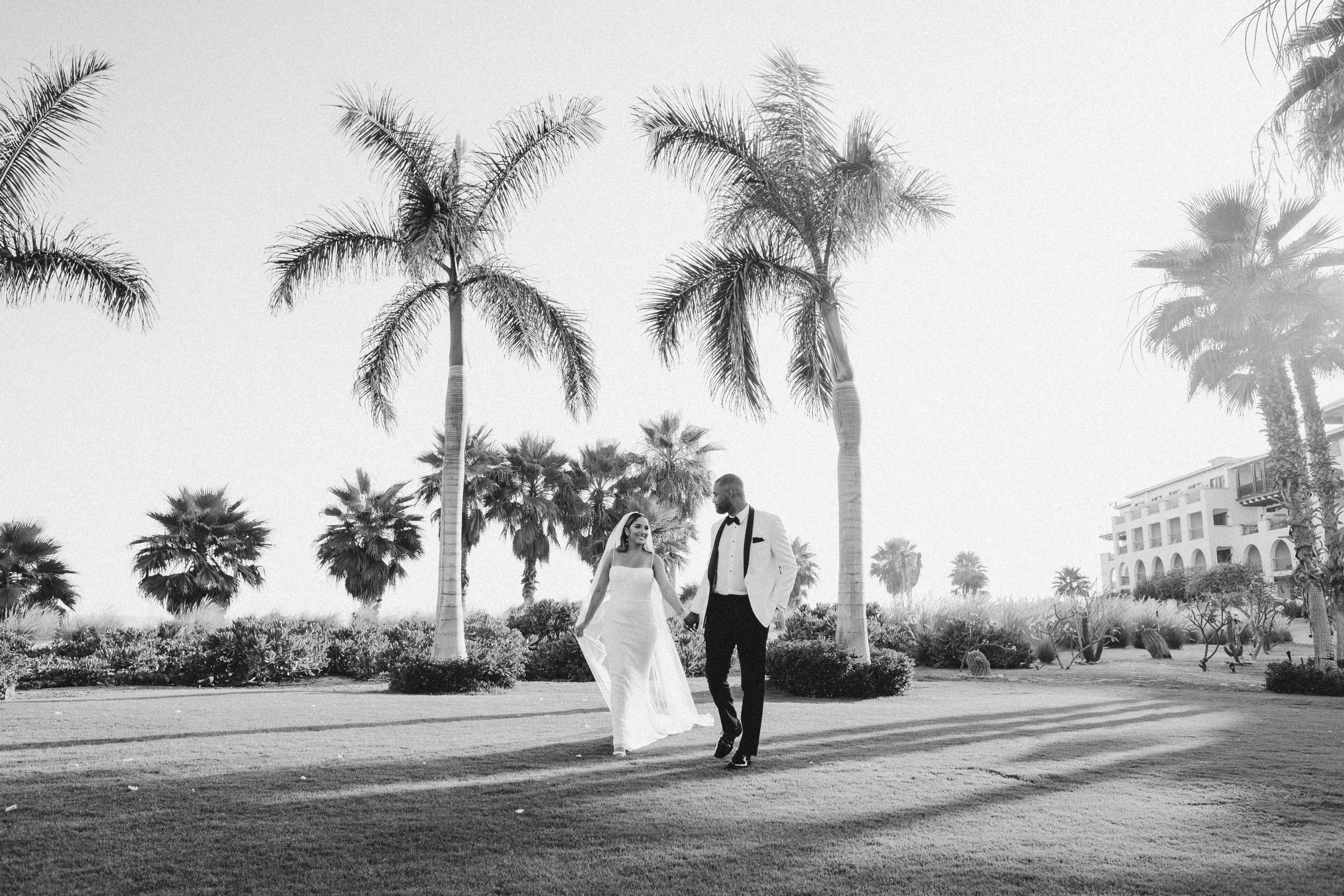 Cabo wedding photographers